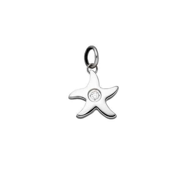 Magneettinen riipus "meritähti"
